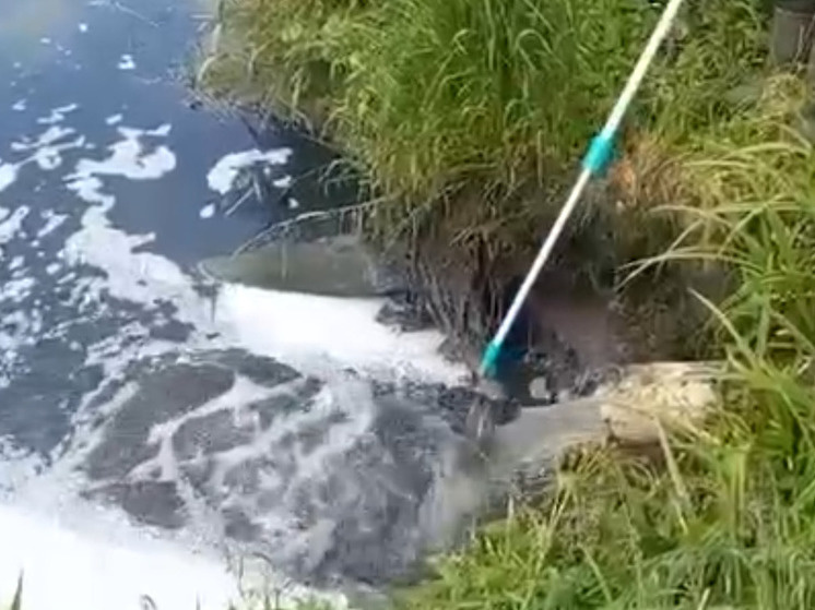     В пробах воды из стоков, которые попадают в реку после очистных сооружений, были выявлены превышения по нескольким показателям. Фото: телеграм-канал СЗМУ Росприродонадзора.