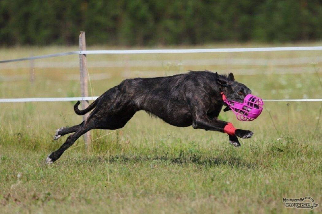    Фото: Александр Мальшаков | предоставлено © ИА «Уральский меридиан» читательницей Анной Лариса Ангелина
