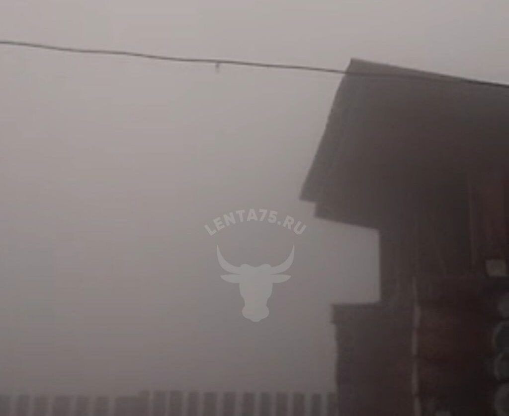    Фото: Очевидец