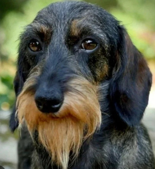 Федор Витальевич Пономаренко 