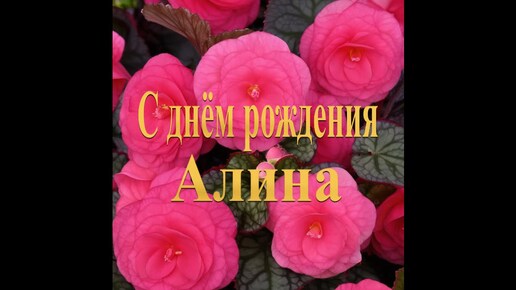 С днём рождения Алина