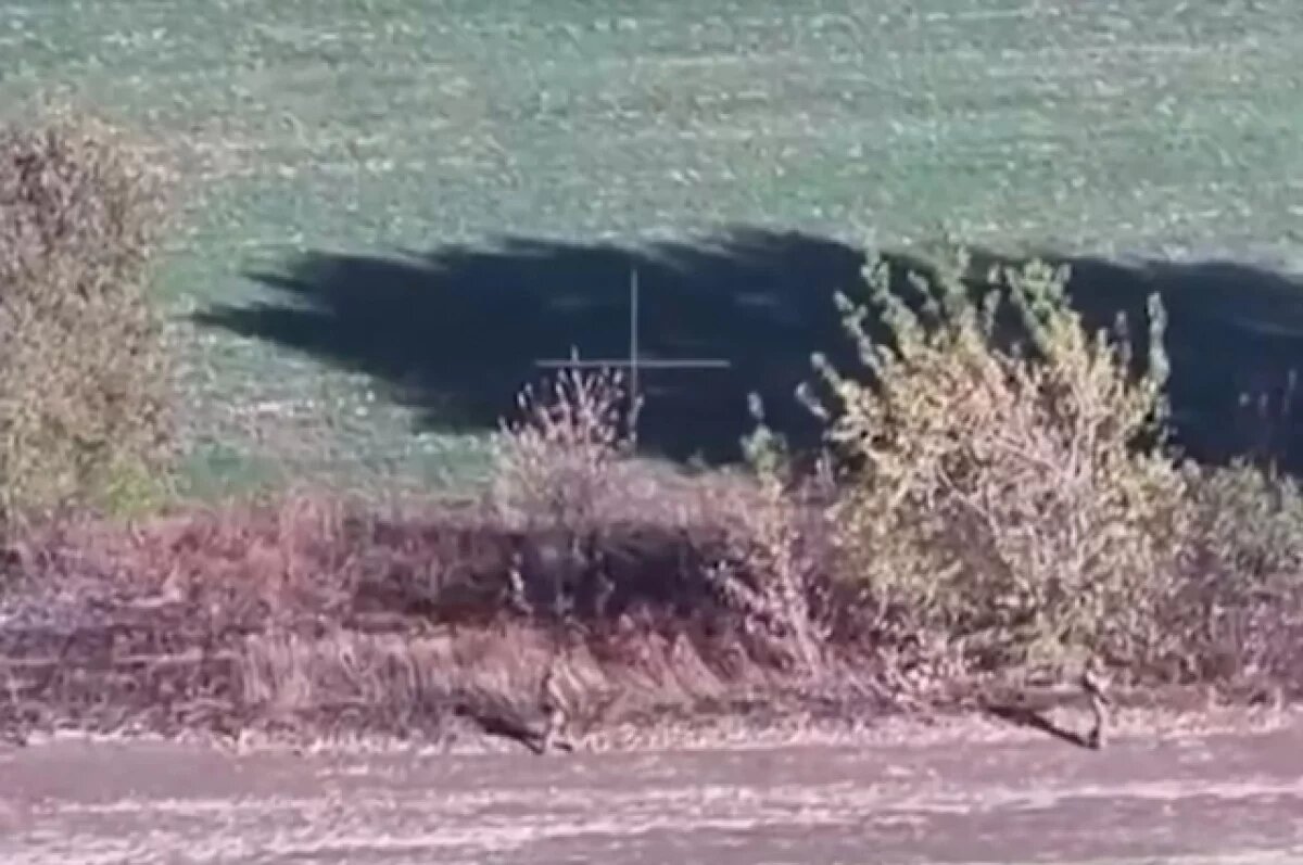    Опубликованы кадры штурма и захвата ВДВ опорника ВСУ на курском направлении