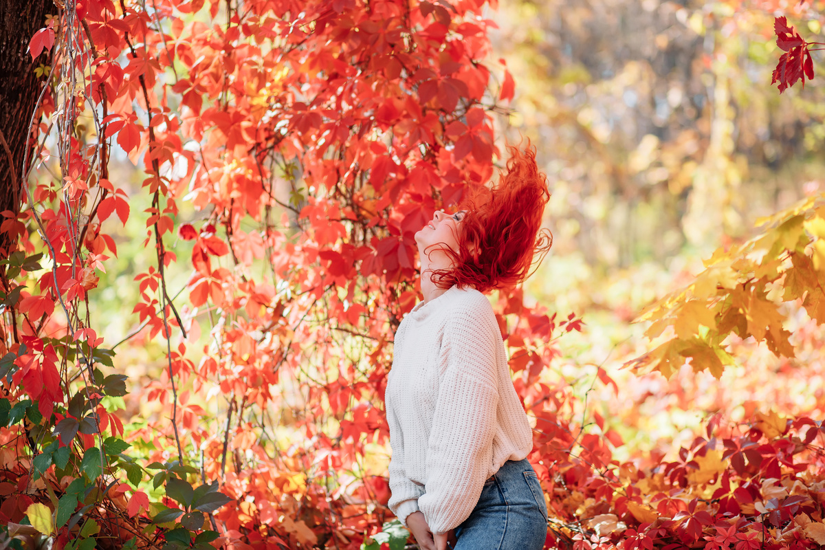 Осень-Зима-Весна-Лето