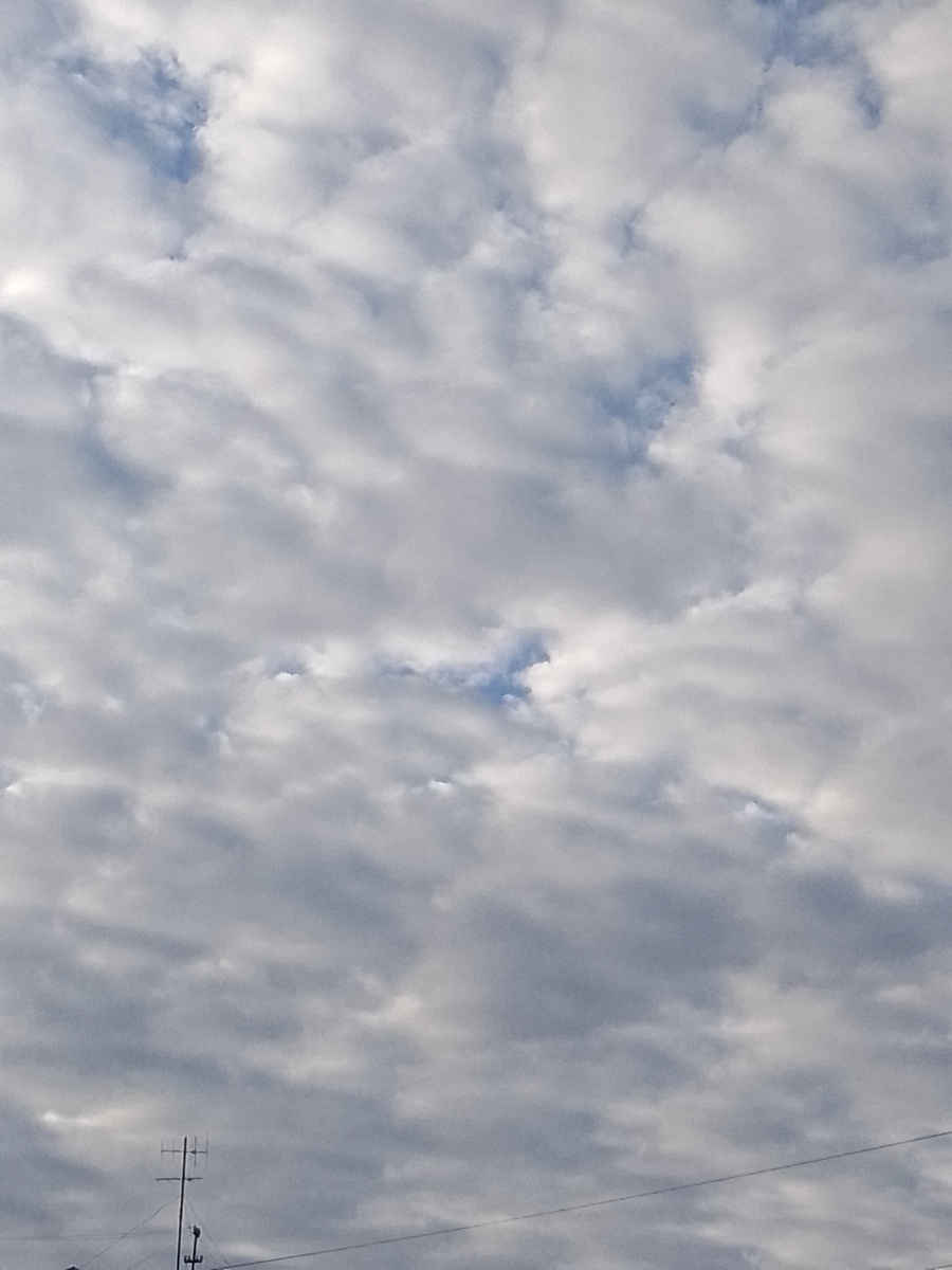 Источник: личное фото "такая погода, такой воздух хороший!!!"