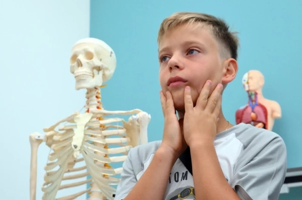    Человек и обезьяны.