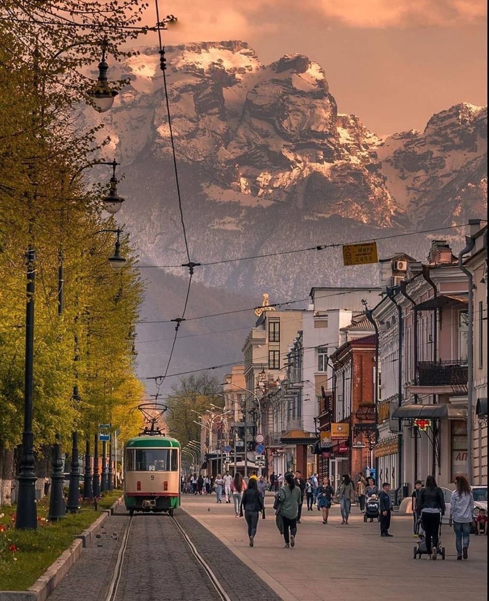 Фото: vk.com/mikhoshka