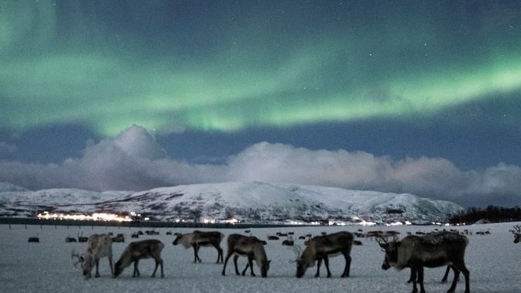 Источник: Go Fjords