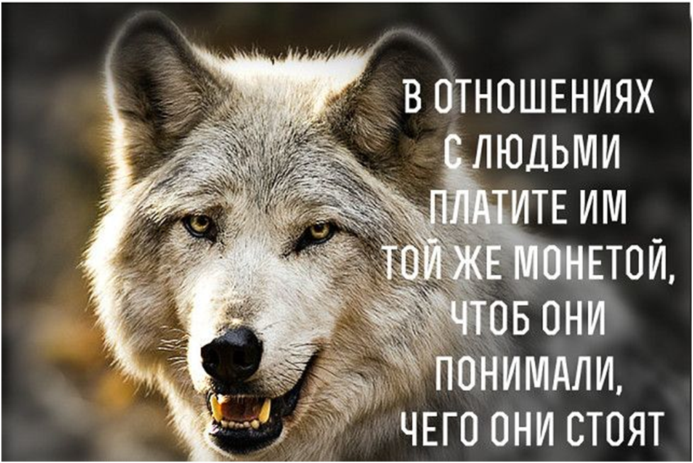  Редкая способность армян считать себя умными, принимая других за глупцов. Это привело армян в то состояние, в котором они находятся.