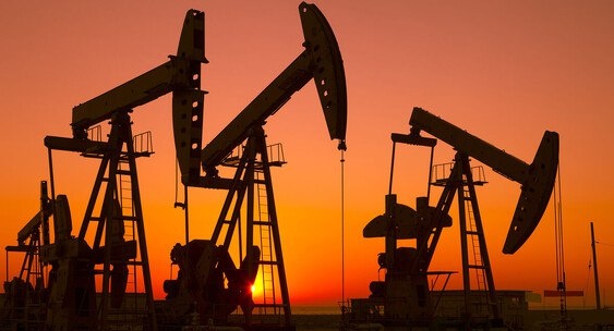 Должно ли государство делиться доходами от природных ресурсов с гражданами?