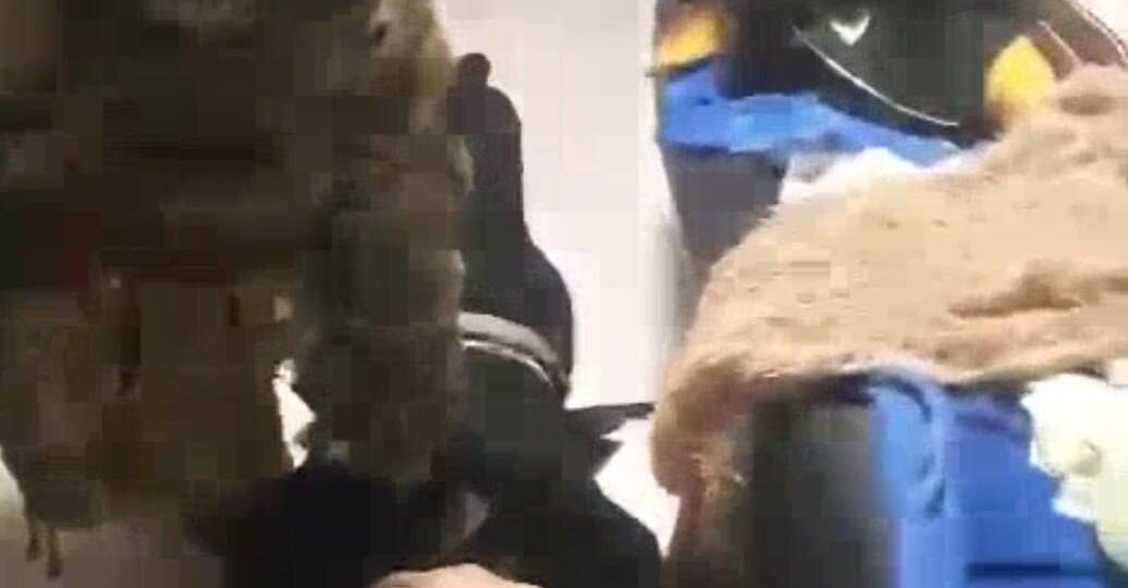 Что будет, если не следить за своими детьми?