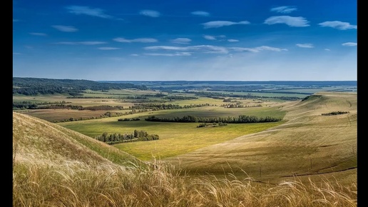 СПЯТ КУРГАНЫ ТЁМНЫЕ