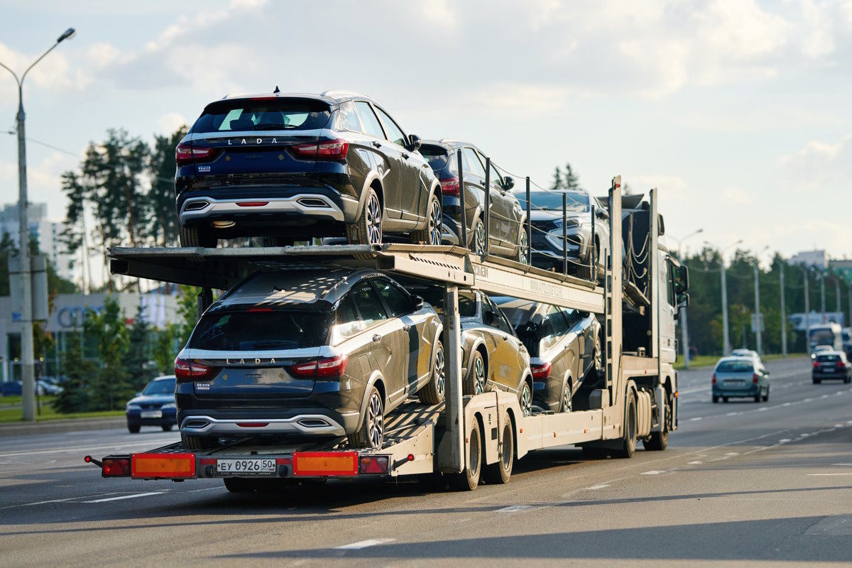    Фото: Tricky_Shark / Shutterstock.com