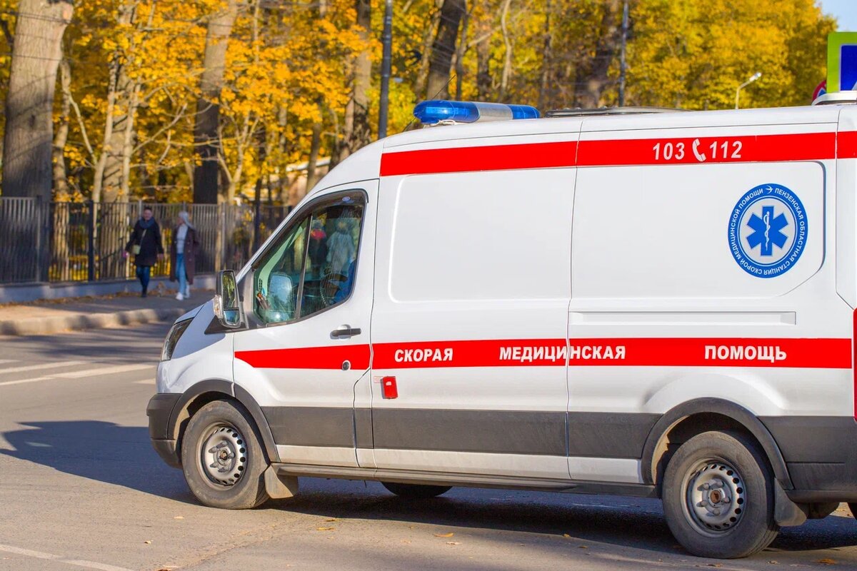    PalSand\shutterstock