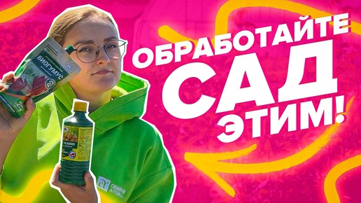 ЧЕМ ОБРАБОТАТЬ САД ОСЕНЬЮ? ПОДРОБНАЯ ИНСТРУКЦИЯ