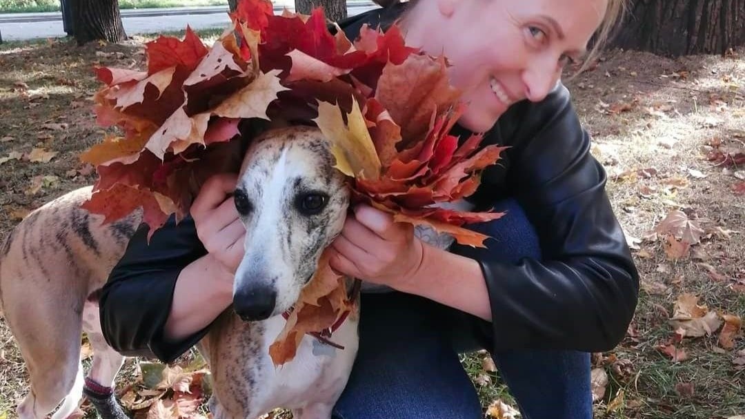 Осенний букет в Парке Дружба