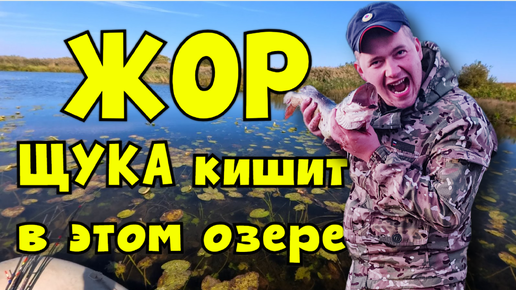 Descargar video: «Жор щуки — время выйти на охоту со спиннингом!»