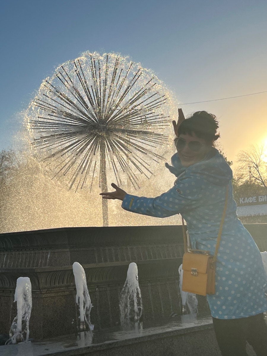 Саратовский одуванчик в закатном солнце