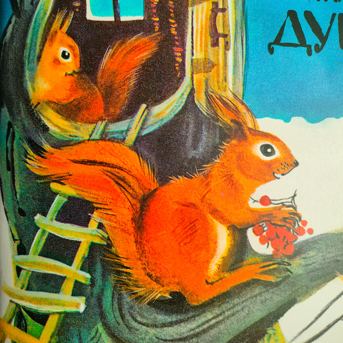 "Приключения Дук-Ду" (Автор Валентина Путилина, художник Татьяна Иваницкая)