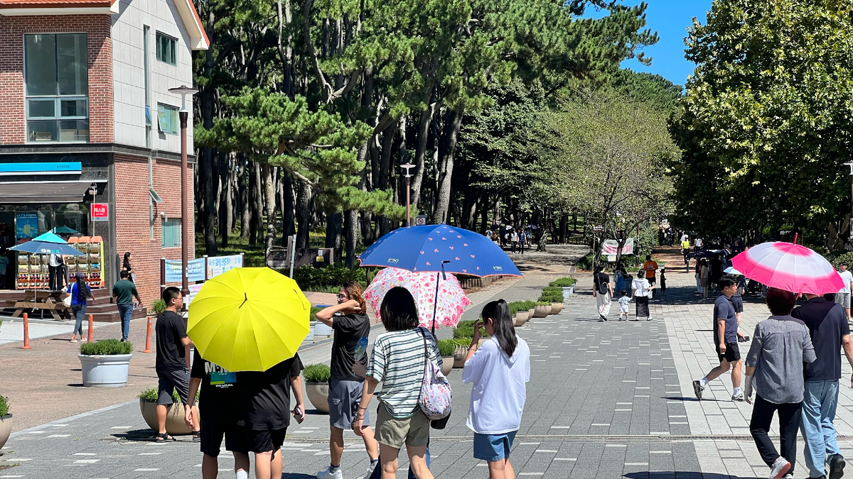 Южная Корея, г.Ульсан, середина сентября