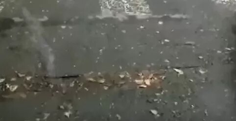 Фото: Народный фронт Челябинской области