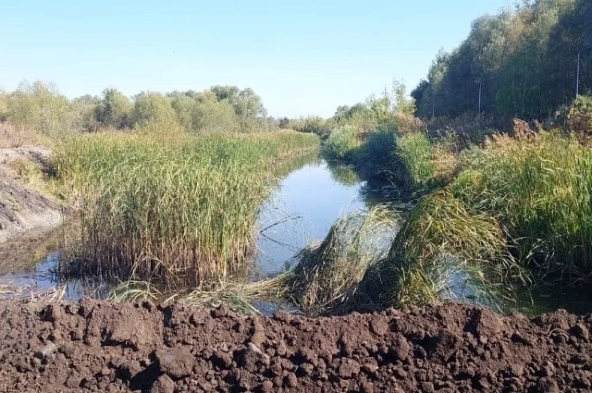    Женщины и дети с лопатами.