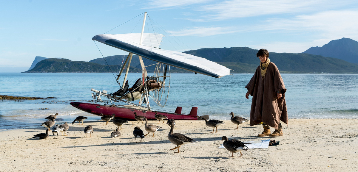 Тома и его гуси