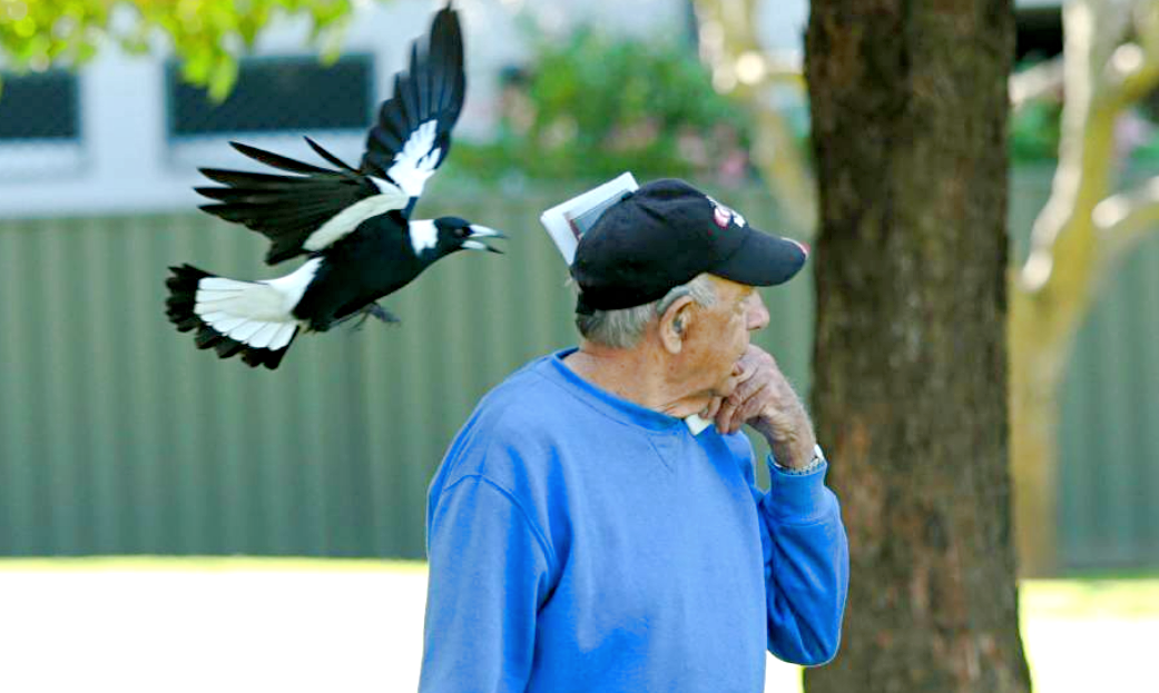 Снимок: disgustingmen.com