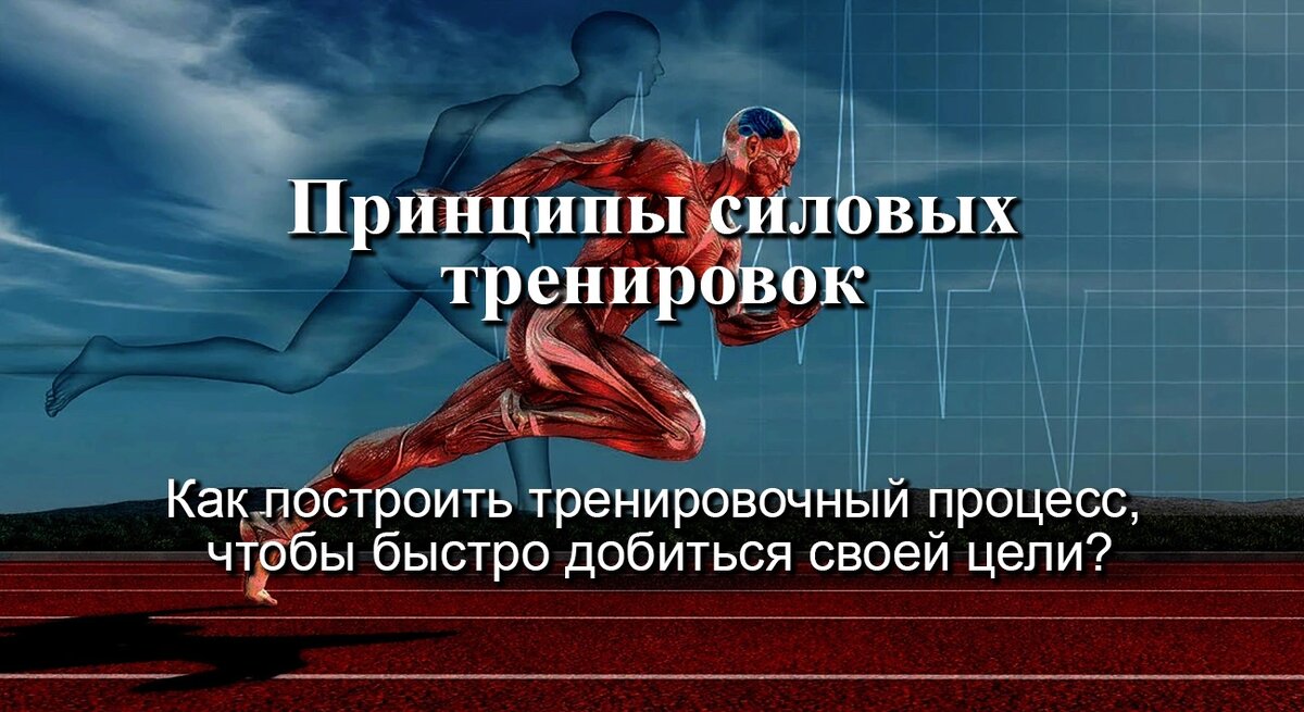 Принципы силовых тренировок