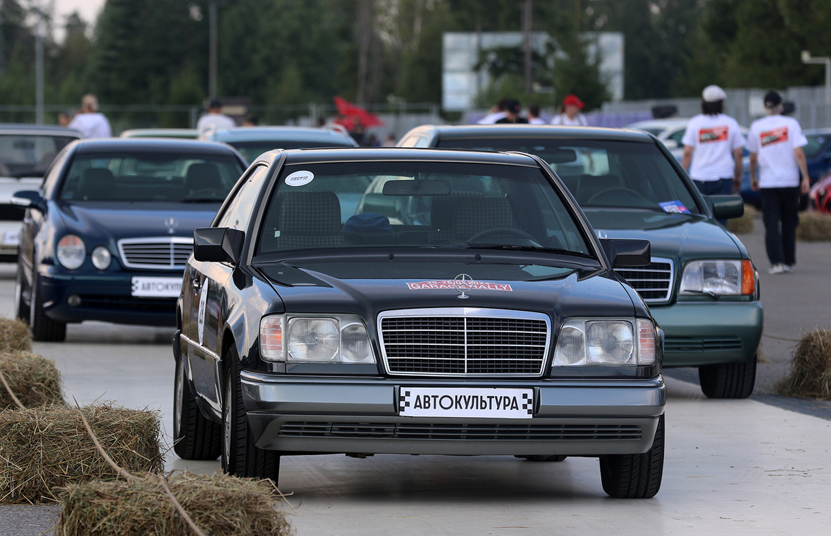 площадка «Ронин и его друзья»