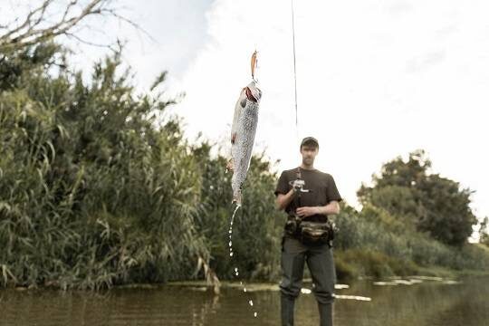    Минимальный вылов лососей за последние 20 лет может спровоцировать рост цен на продукцию
