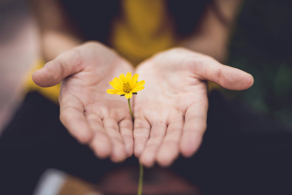 https://unsplash.com/