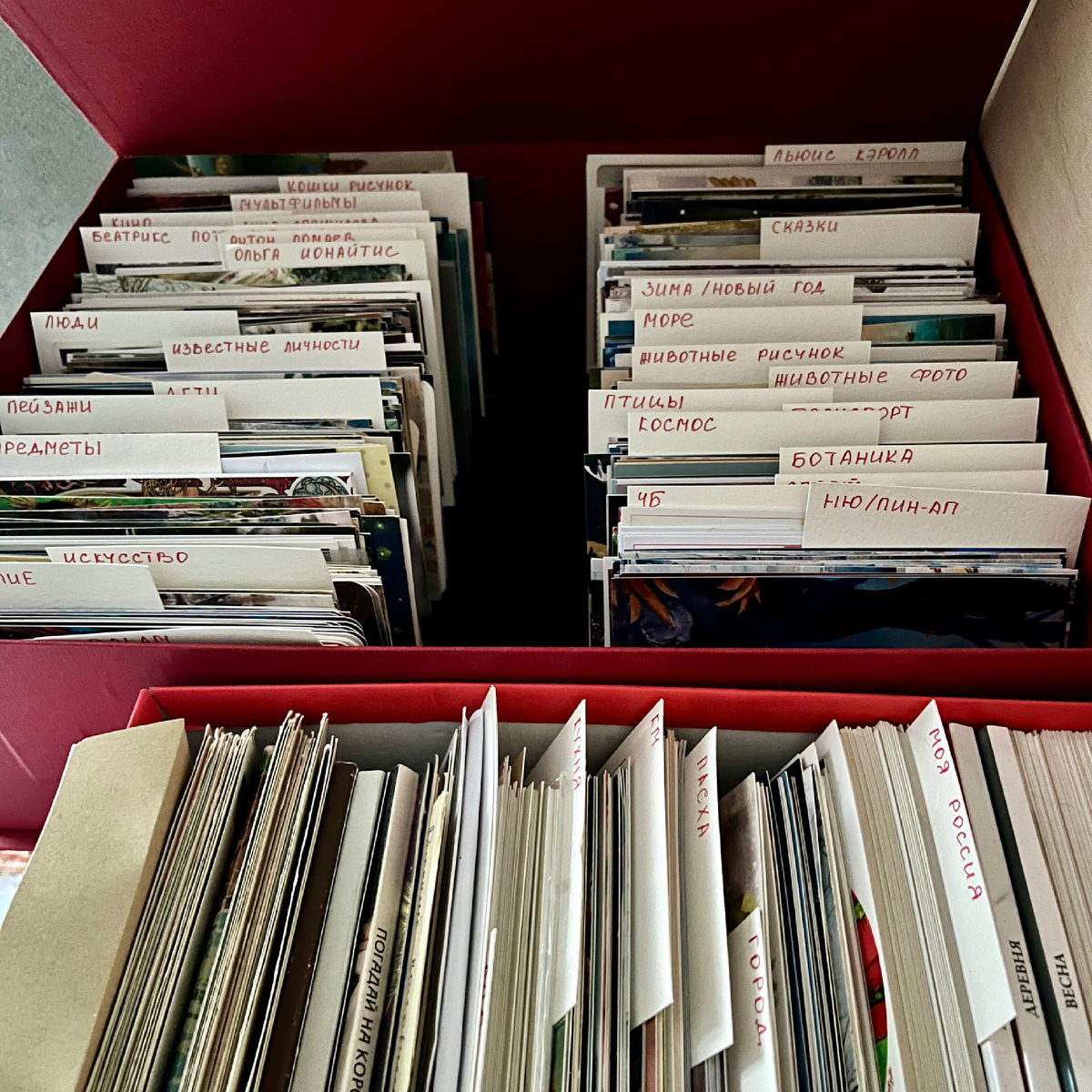 Так я храню чистые открытки, разложив их по темам. По этим же темам они разложены в электронном обменнике