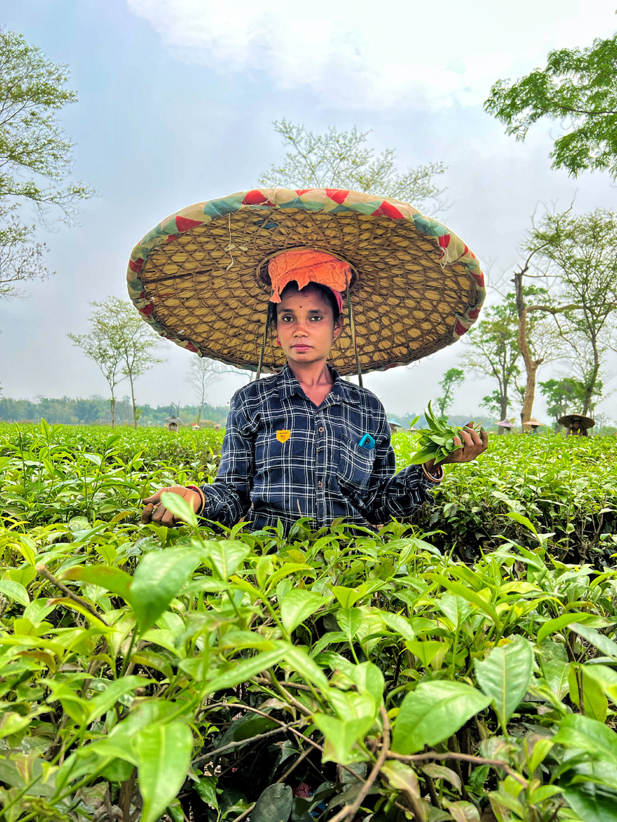 Индийская девушка и фикус 