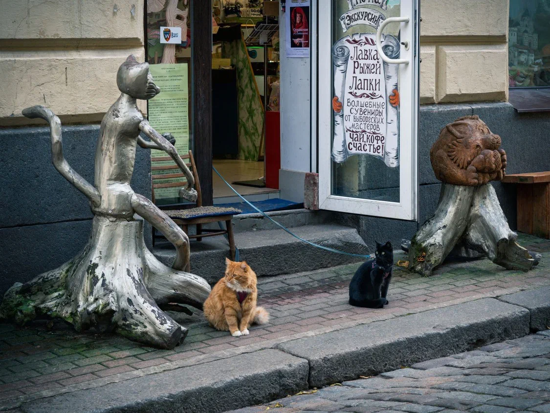 Фото: Григорий Евдокимов.
Любителям кошек обязательно стоит посетить сувенирную “Лавку рыжей лапки”