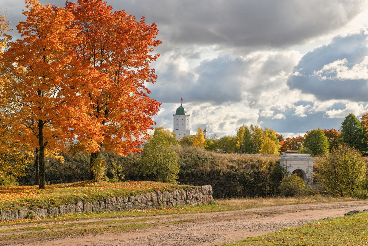 Фото: Григорий Евдокимов. 
Осенью в Выборге царит особая атмосфера