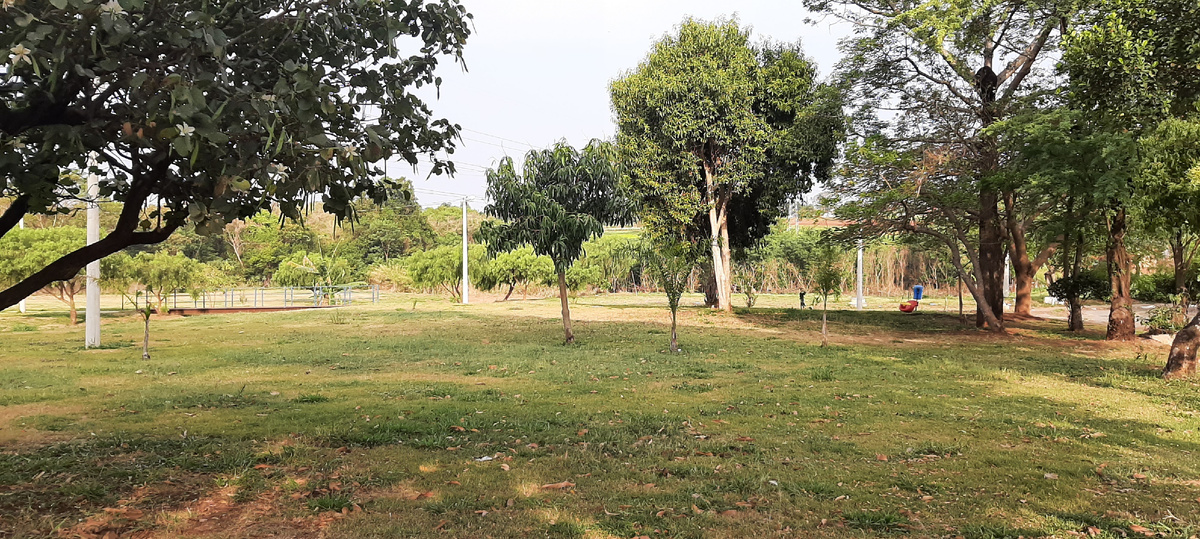 Падре Анчиета. Зеленая долина.