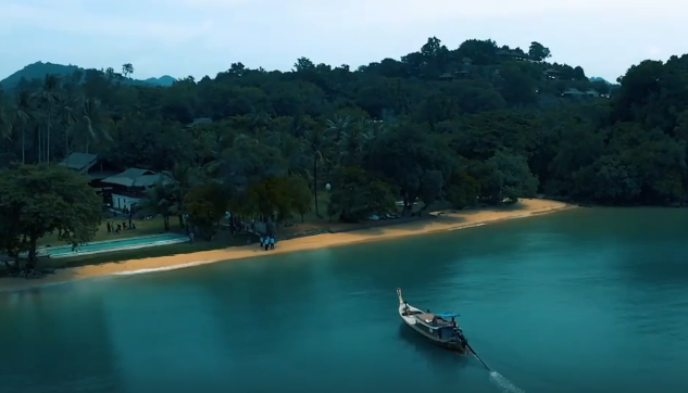 скрин автора