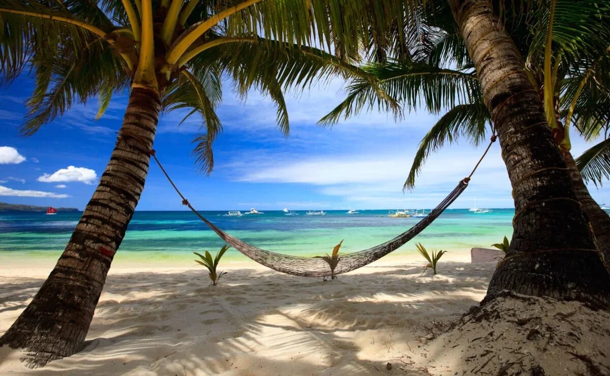    Новый год в Юго-Восточной Азии: куда ехать и сколько нужно денег