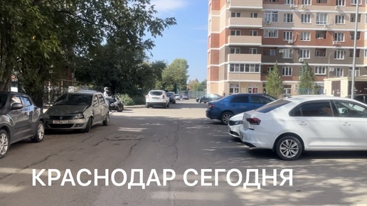 Краснодар солнечная осень.☀️ Не могу подстричь мужа! Чижик скидки !