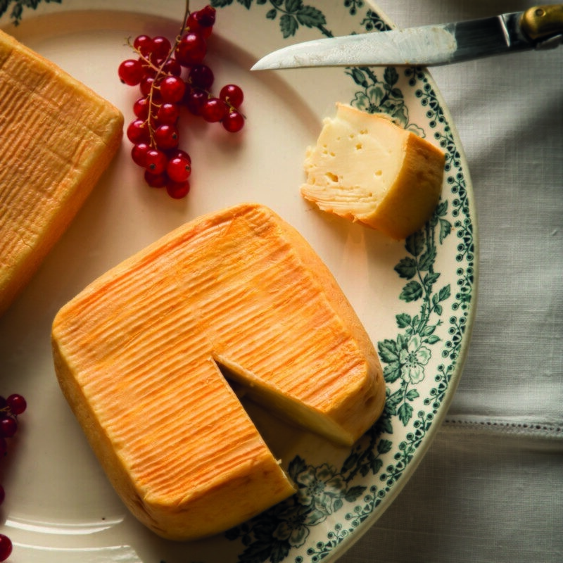   Фото: cheeseorigin.com