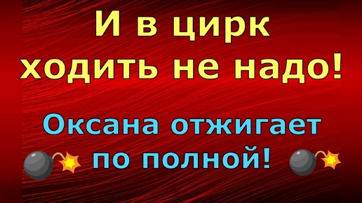 Новый день / Лена LIFE / И в цирк ходить не надо! Оксана отжигает по полной! / Обзор влогов