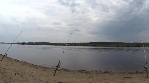 РЫБА КЛЮЕТ НА САЛО я не успеваю РЫБАЛКА НА ДОНКИ Russian fishing