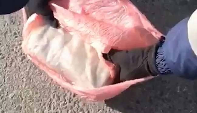    Фото: МВД Медиа Екатерина Прокофьева