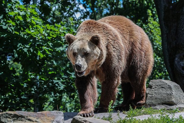 Фото: Bulkin Sergey / Globallookpress.com