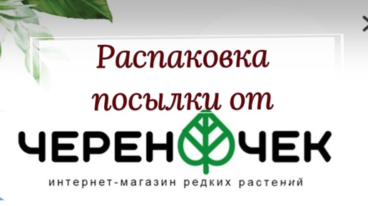 Распаковка посылки с растениями от Череночка. 💚💚💚