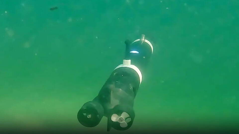    Скриншот видео