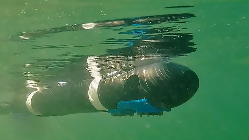     "Неон" и "Трионикс": на что способны российские подводные дроны Скриншот видео