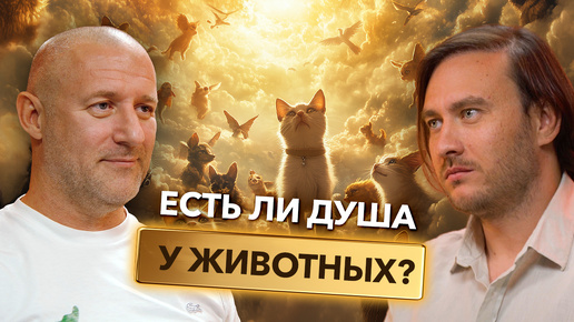 Download Video: Есть ли душа у животных?