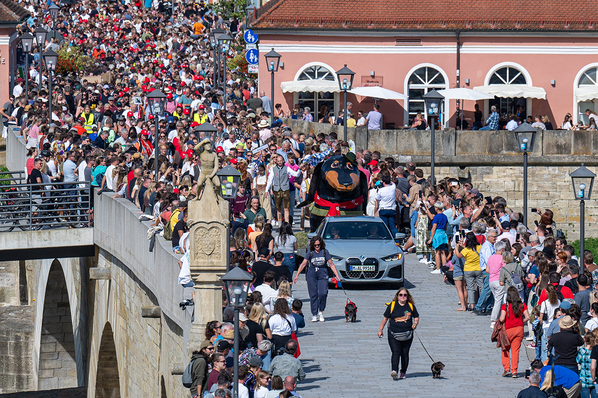 Armin Weigel / Global Look Press📷Парад такс в Регенсбурге