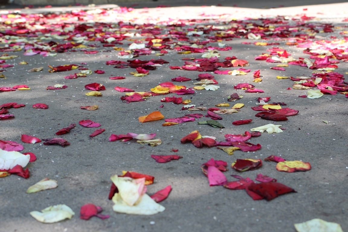 Фото: ® UfacityNews.ru